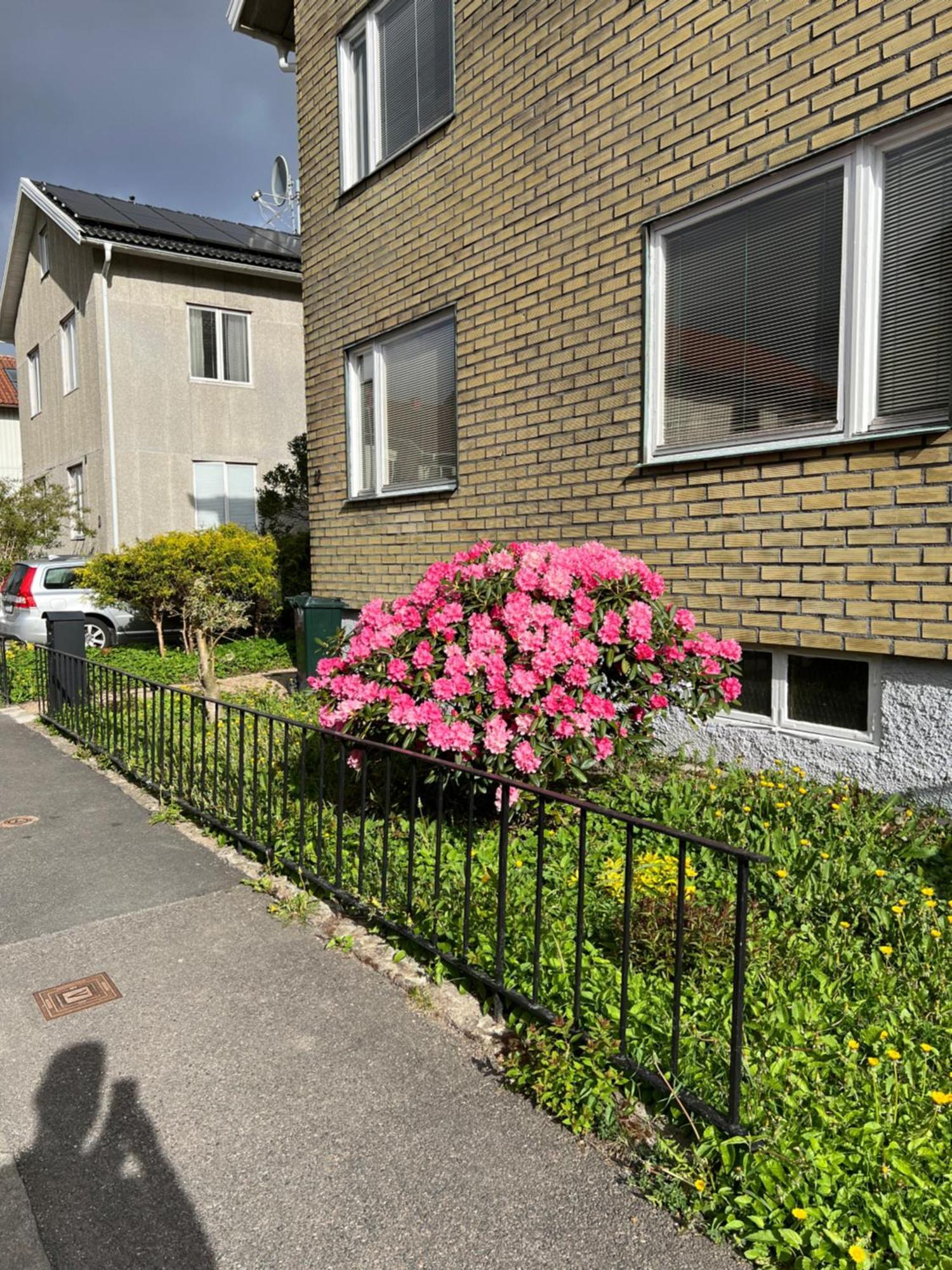Spacious Three Bed In A Lovely Neighbourhood
